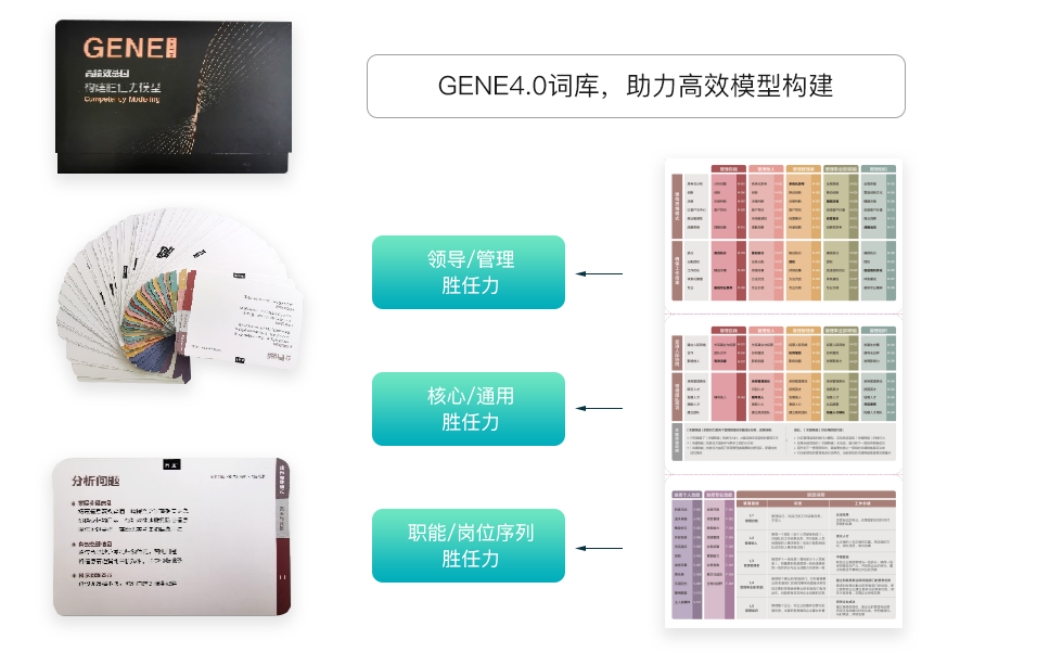 GENE胜任力模型